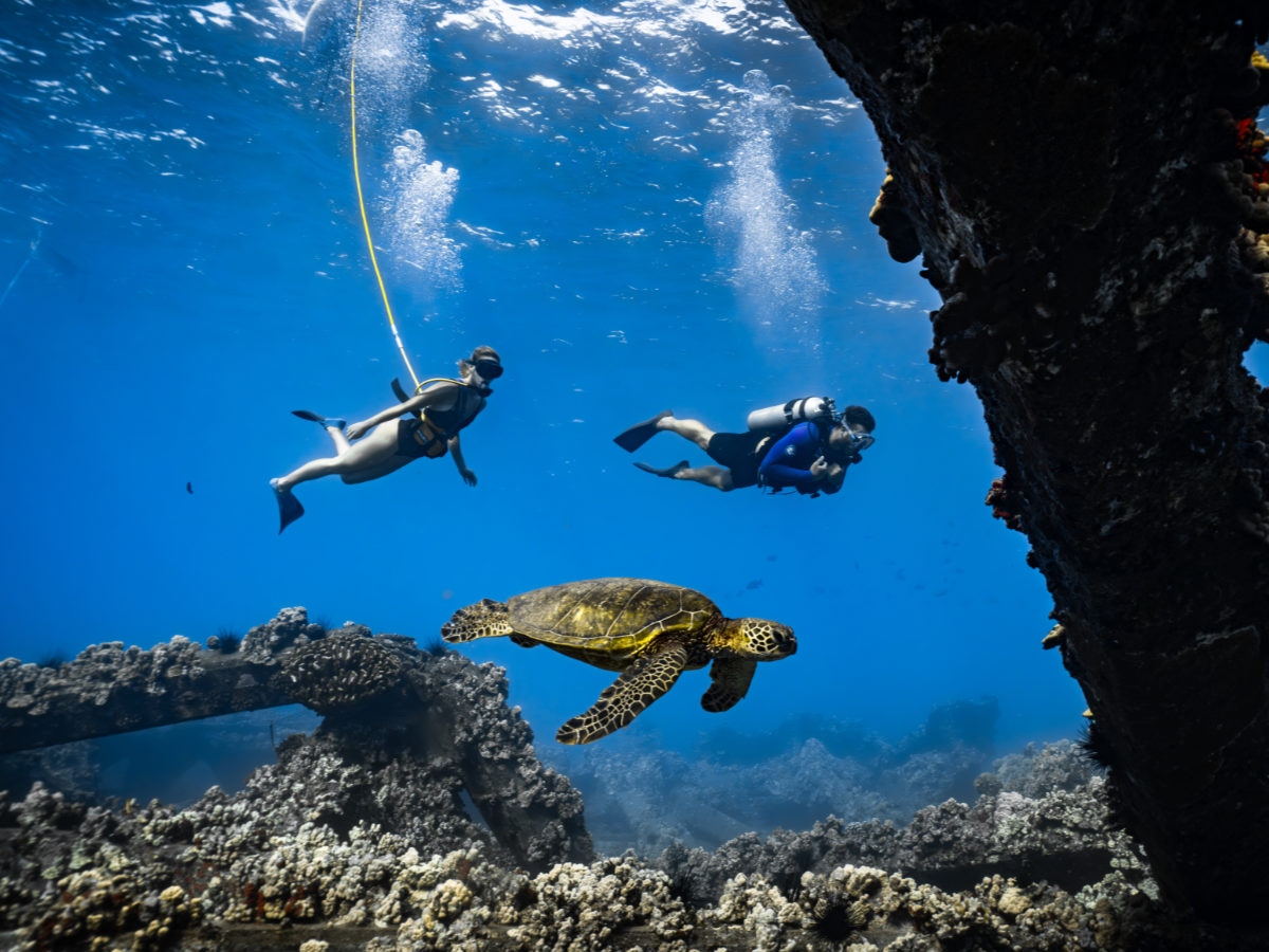 SNUBA Bonaire guest swimming with a certified guide near a sea turtle