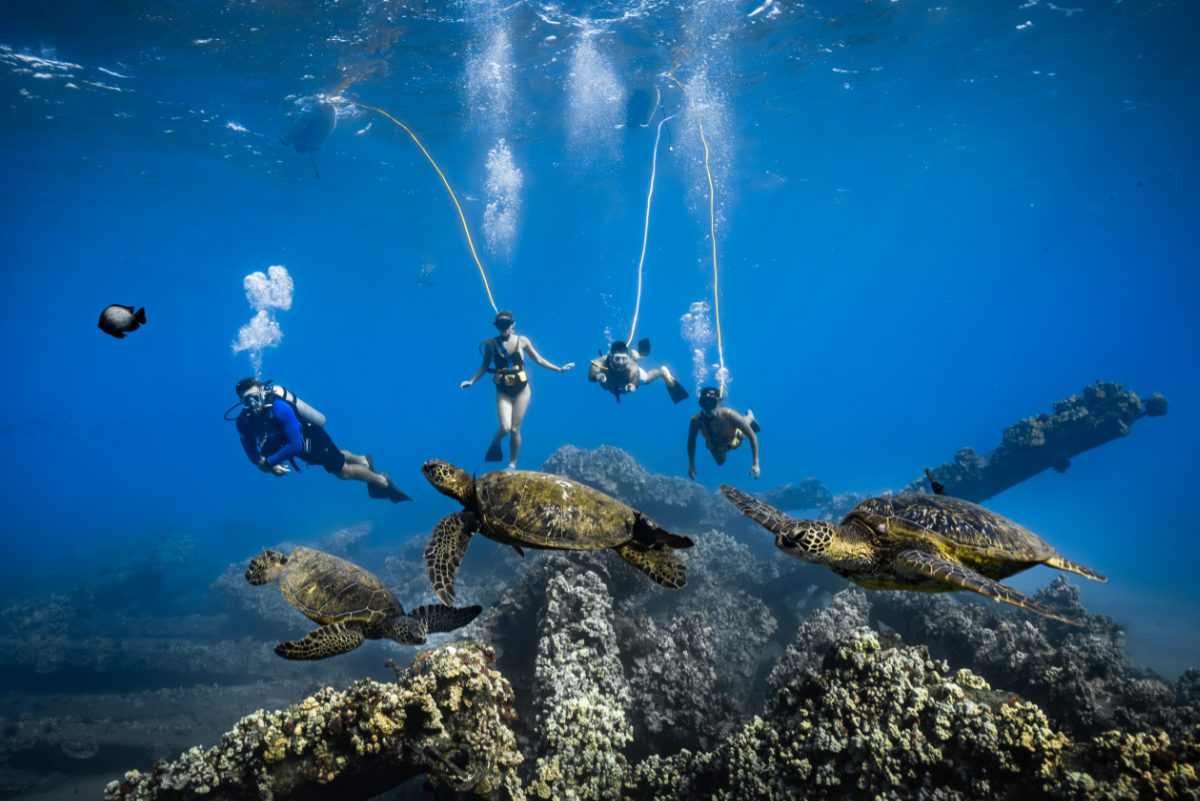 SNUBA Bonaire guests breathing underwater near sea turtles on Bonaire's reef